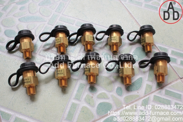 Fisher H110-250 Relief Valve(14)